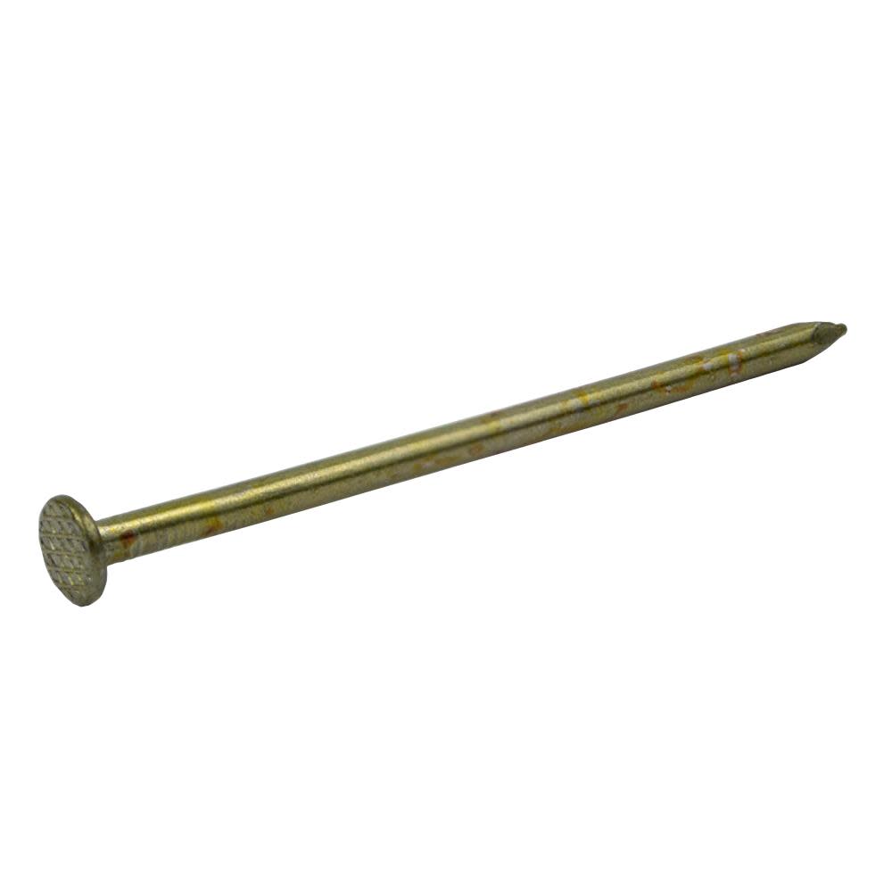 Grip Rite 50-Lb 9-Gauge 3.25-in Vinyl-Coated Smooth Sinker Nails - Flockneti