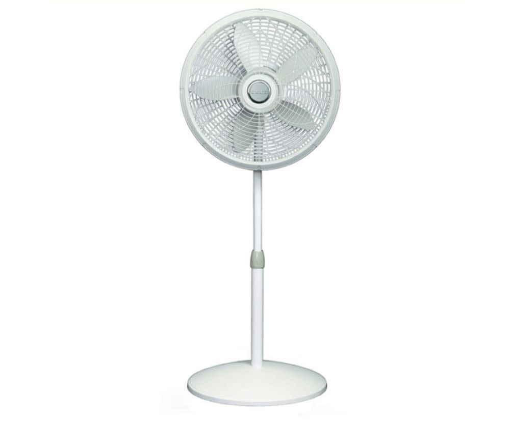 Lasko Oscillating Pedestal Fan 53 1/2″ H 3 Speed - Flockneti