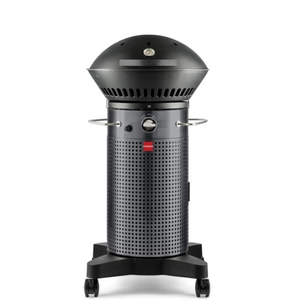Fuego 21″ Element 2 Burner Propane Gas Grill - Flockneti