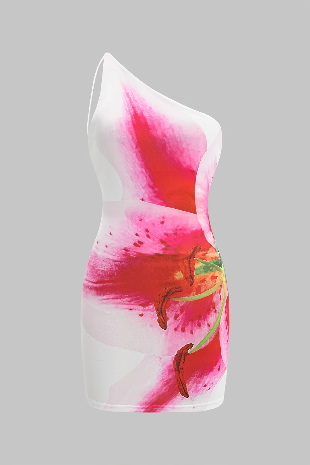 Floral Print Backless Tie Up Sleeveless Mini Dress - Flockneti