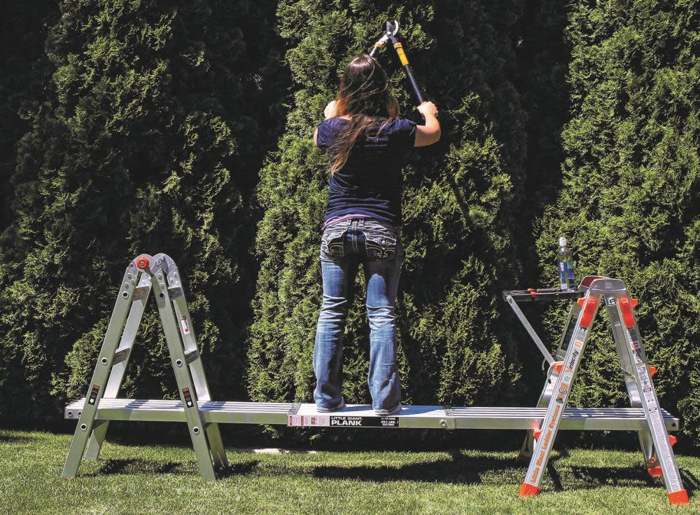 Little Giant Safety Trestle Brackets - Flockneti