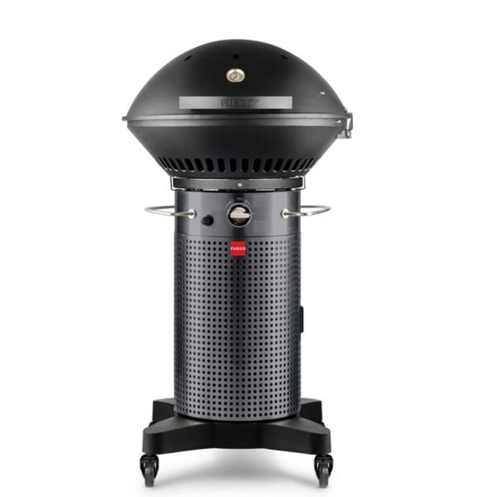 Fuego Professional 24″ 2 Burner Propane Gas Grill - Flockneti