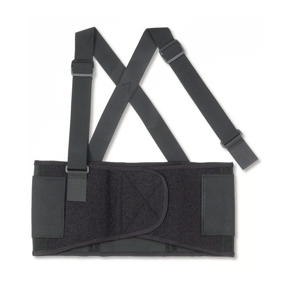 Ergodyne Proflex 1650 Back Support – XL - Flockneti