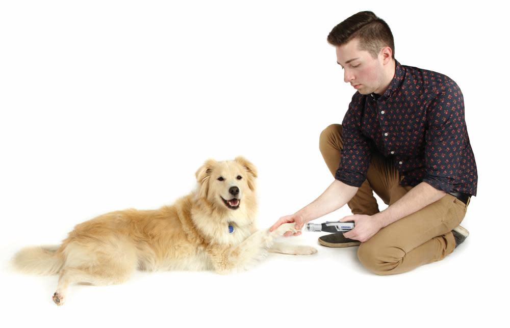 Dremel Pet Nail Grooming Kit 4 Volt Cordless - Flockneti