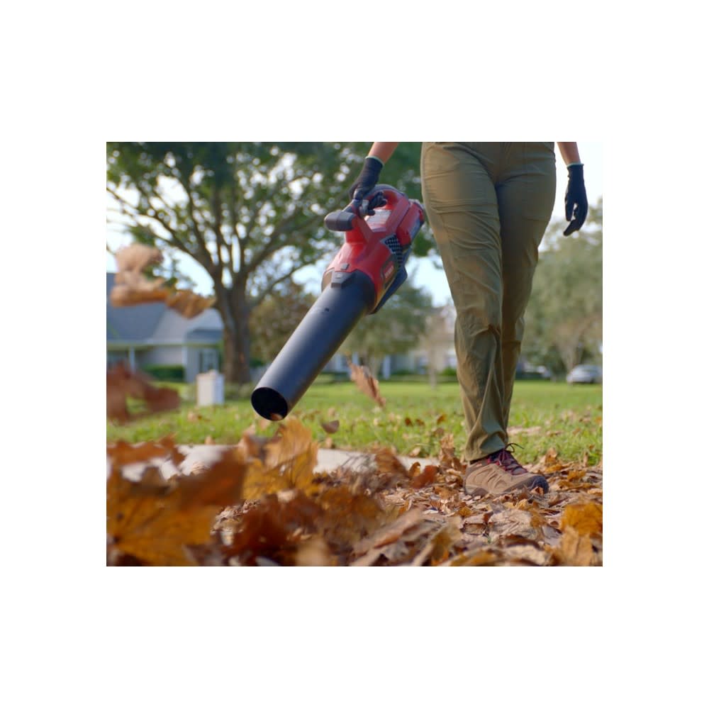 Toro 60V Max Flex Force Axial Leaf Blower One Battery Kit - Flockneti