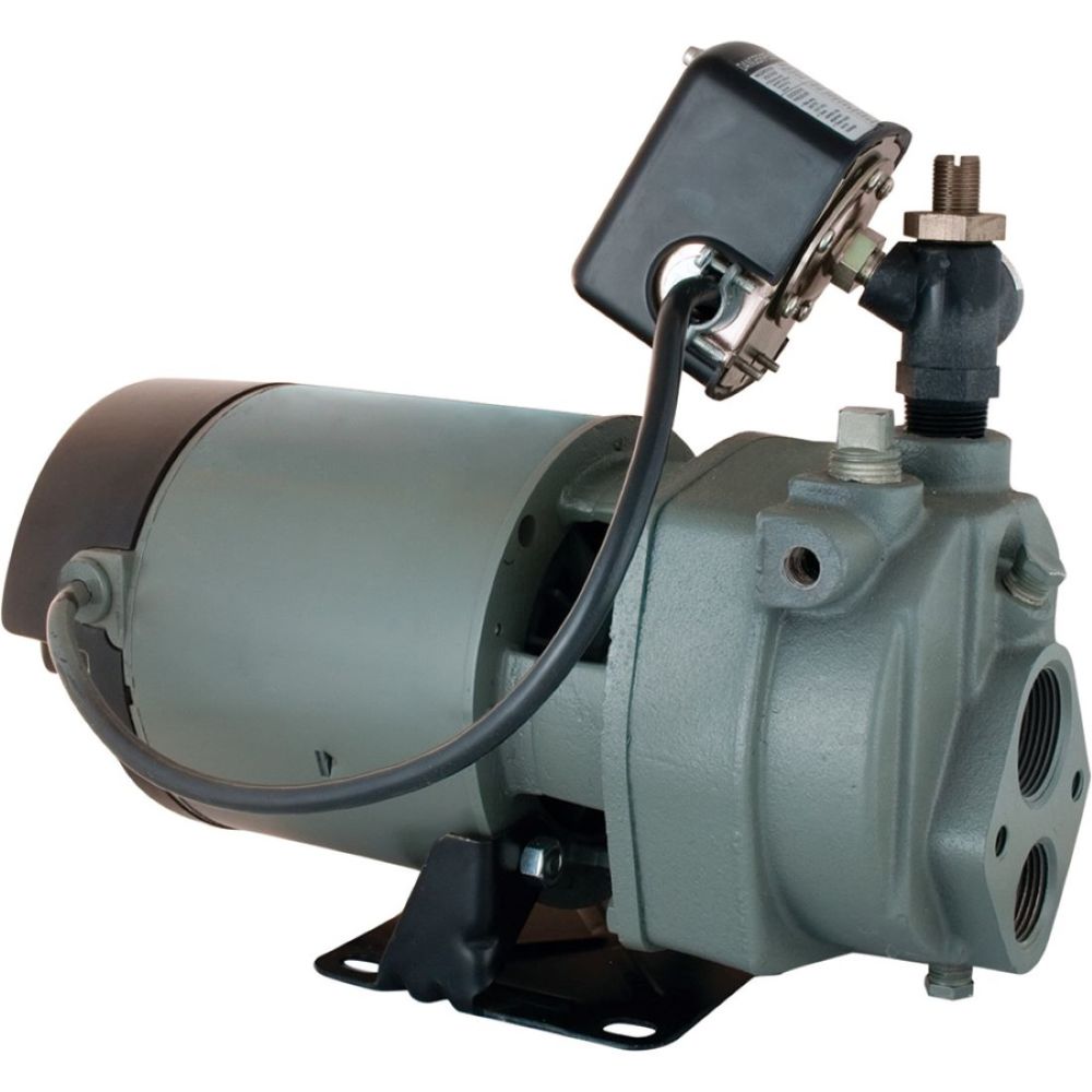Star Water Systems 1 HP Cast Iron Convertible Jet Pump - Flockneti