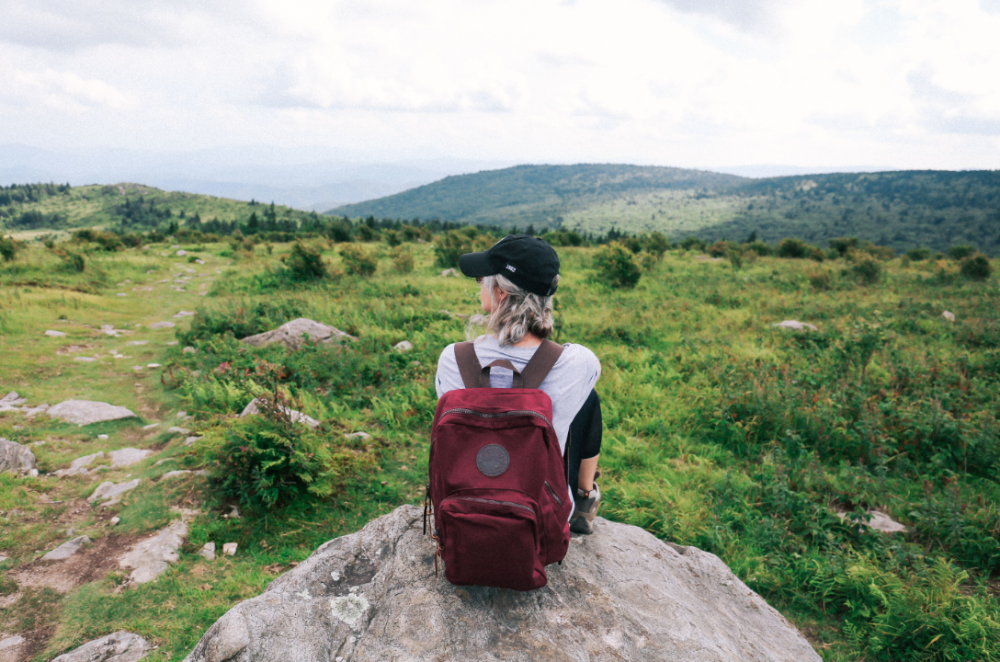 Duluth Pack 21 Liter Capacity Burgundy Large Standard Backpack - Flockneti