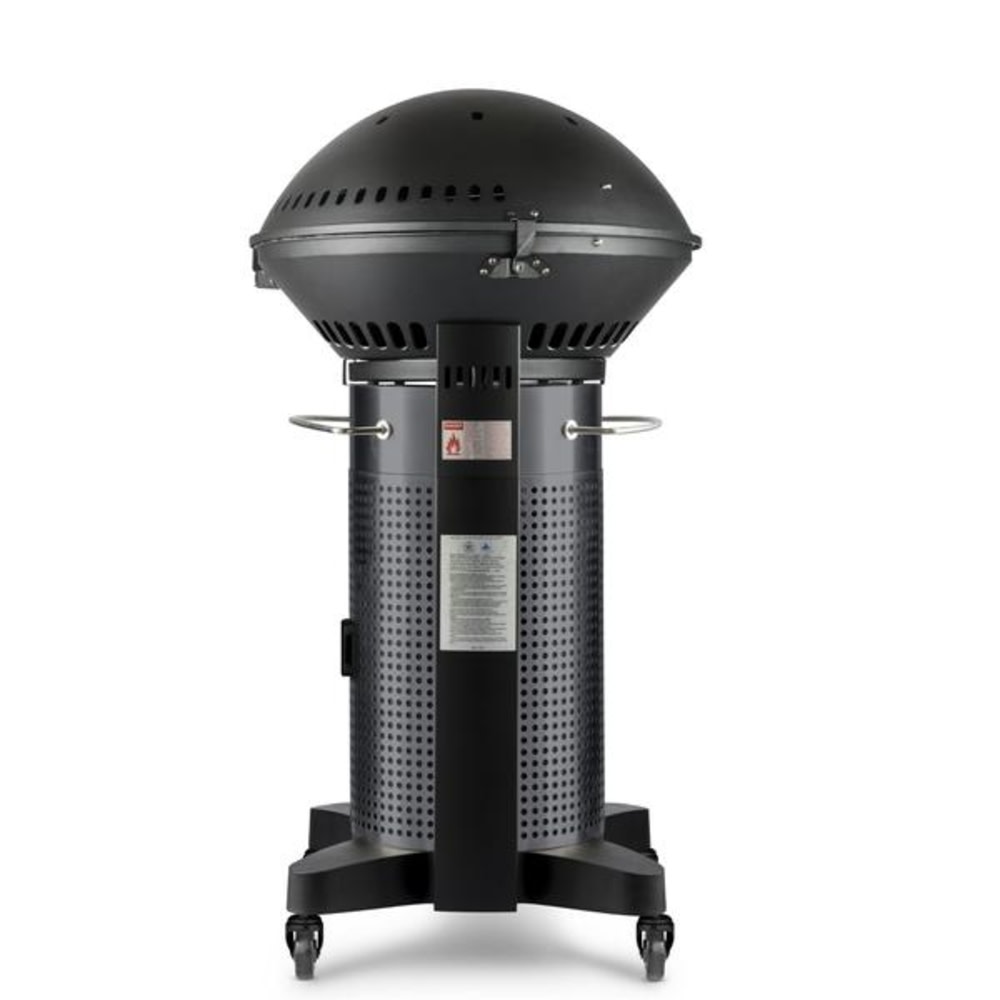 Fuego Professional 24″ 2 Burner Propane Gas Grill - Flockneti