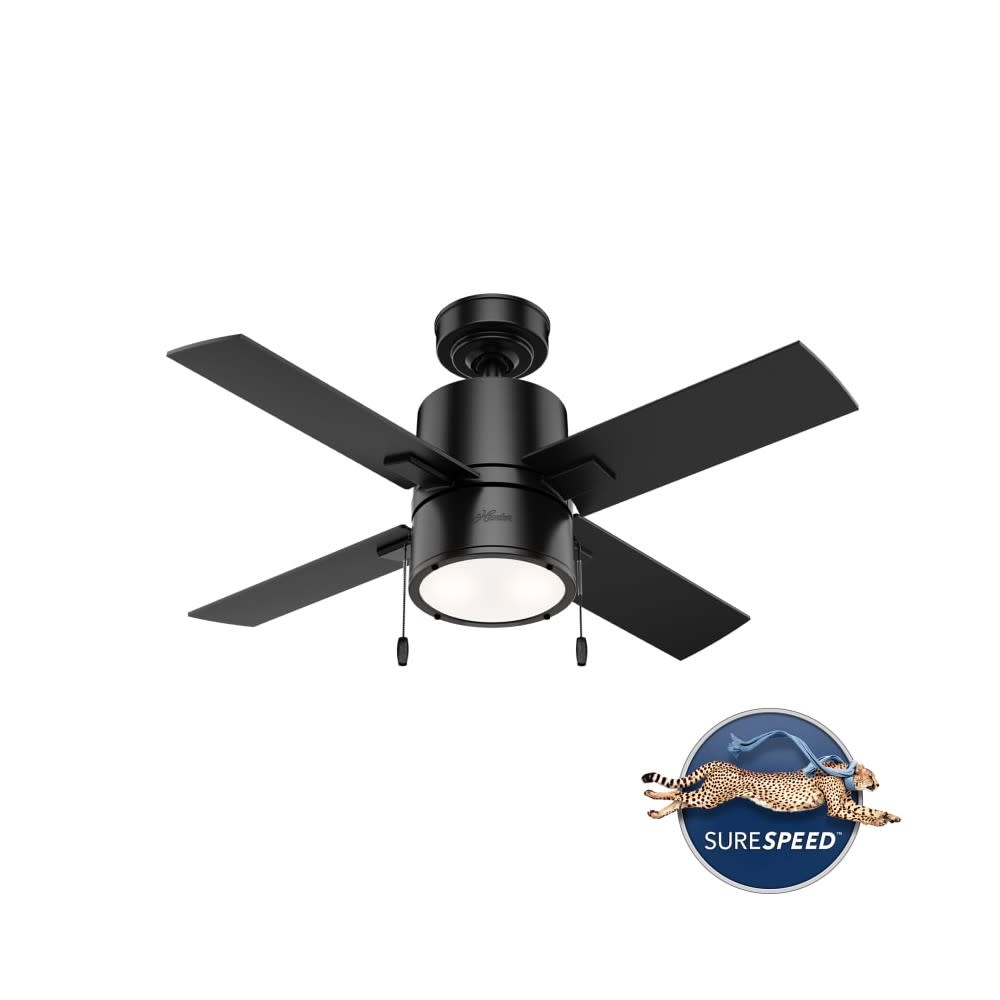 Hunter Fan Beck Ceiling Fan 42″ Matte Black/Greyed Walnut - Flockneti