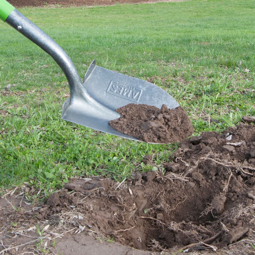 Ames Long Wood Round Point Digging Shovel - Flockneti