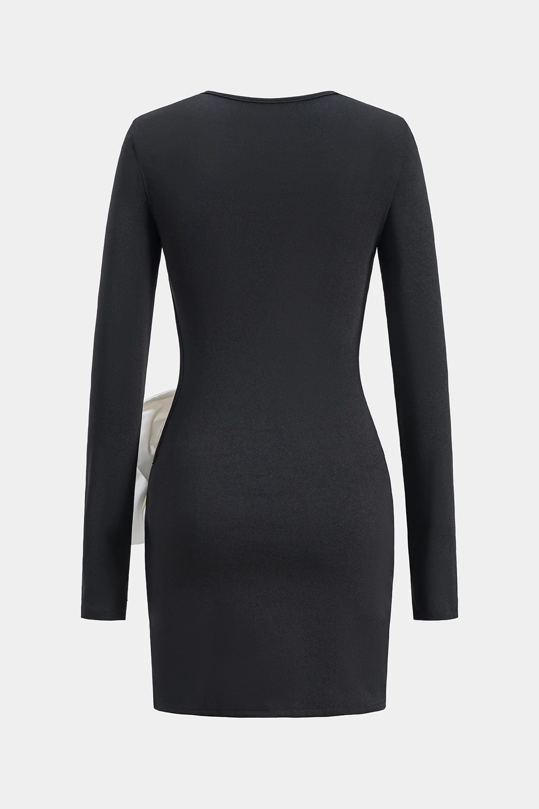 3D Floral Decor Round Neck Cut Out Long Sleeve Mini Dress - Flockneti