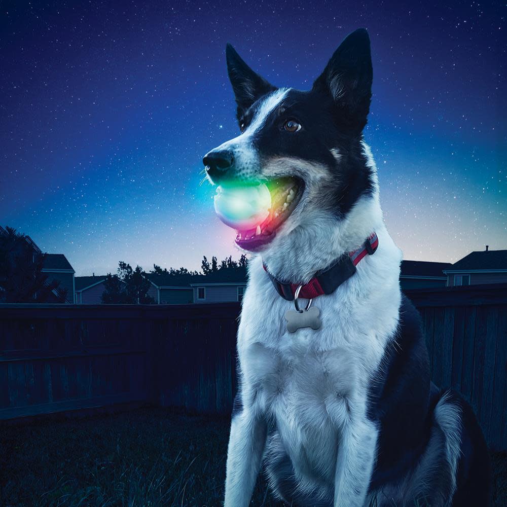 Nite Ize Glow Streak LED Ball – Disc-O – GSB-07-R7 - Flockneti