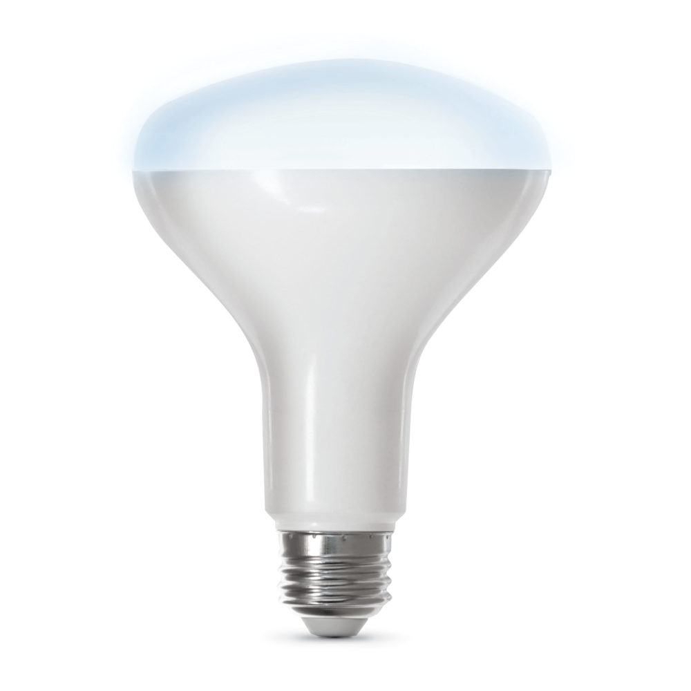 Feit Electric 65W BR30 Daylight Smart WiFi LED Bulb 1pk - Flockneti