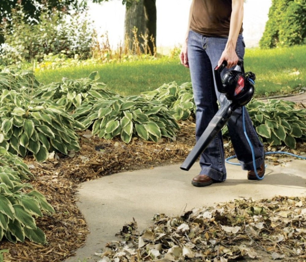 Toro Power Sweep Electric Blower - Flockneti