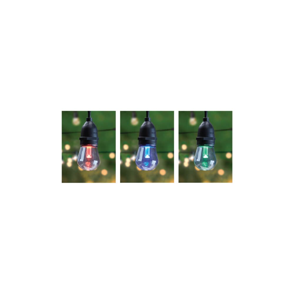 Feit Electric 30′ 15 Lights Decorative LED String Light Set - Flockneti