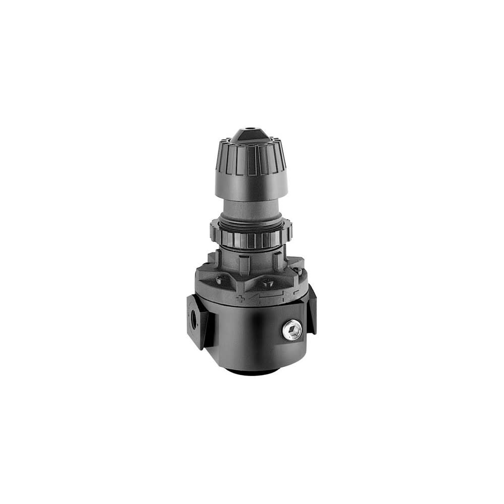 Dixon Valve and Coupling 1/2 In. 300 Psi Standard Regulator with Gauge - Flockneti