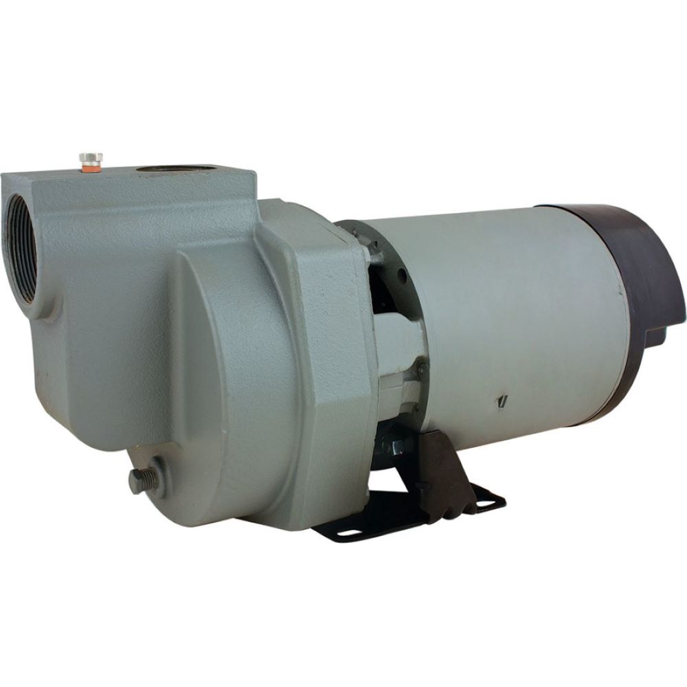 Star Water Systems 1 HP Cast Iron Irrigation/Lawn Pump - Flockneti