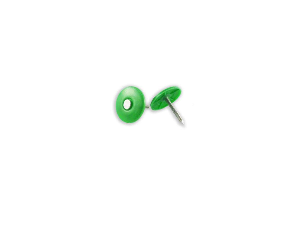 B and C Eagle WoodPro 1 In. Plastic Cap Electro Galvanized Nails 2M - Flockneti