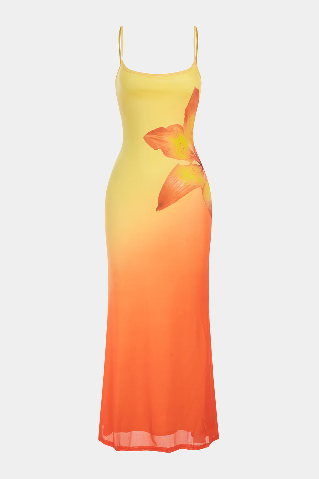 Ombre Floral Print Sleeveless Maxi Dress - Flockneti