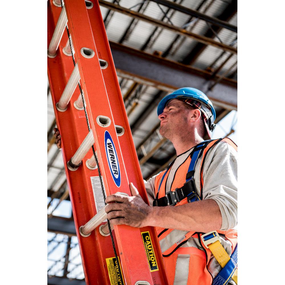 Werner 40 Ft. Type IA Fiberglass Extension Ladder - Flockneti