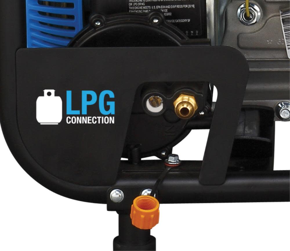Pulsar Products 5250 Watt Dual Fuel Portable Generator - Flockneti