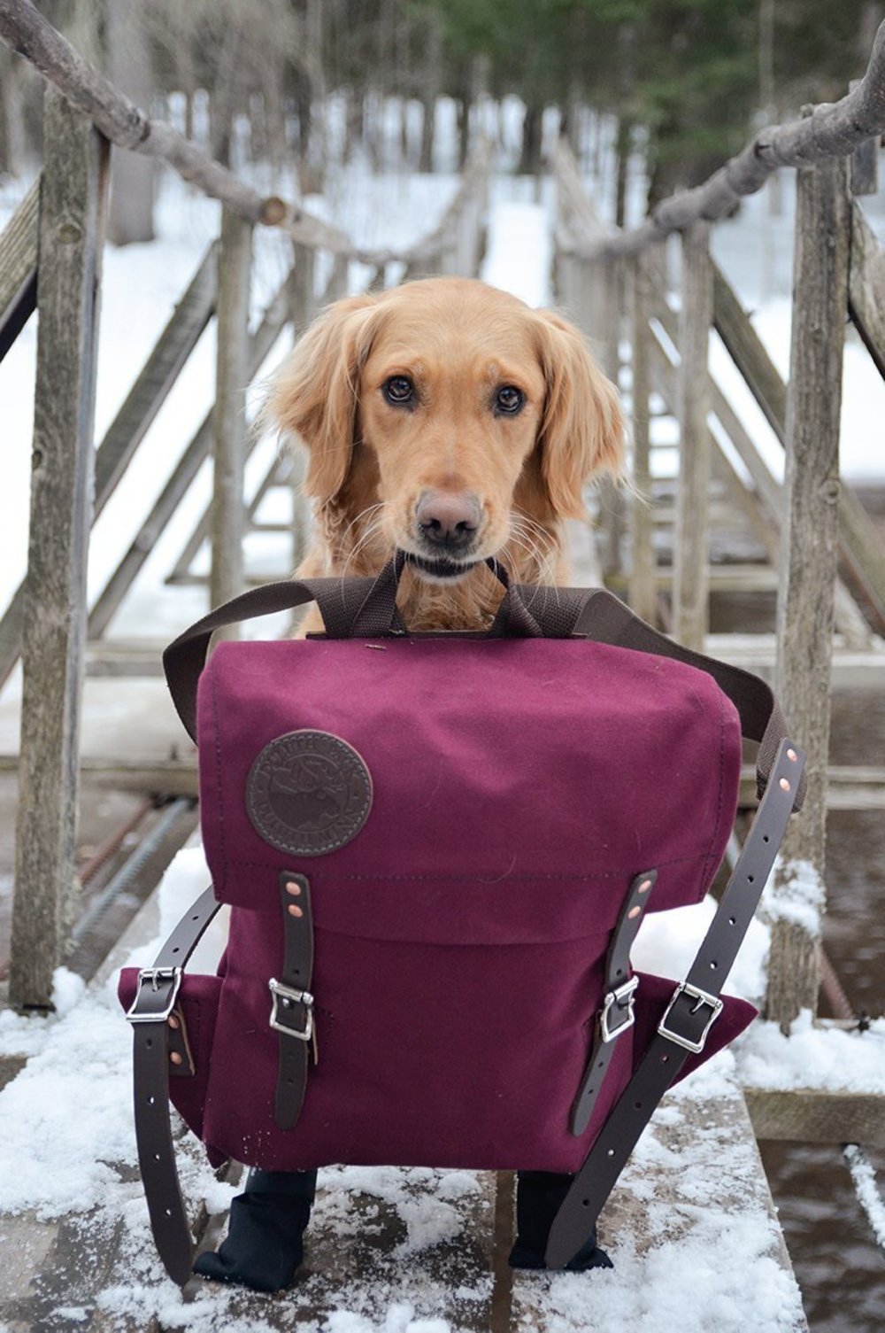 Duluth Pack 16 Liter Capacity Burgundy Scout Pack - Flockneti