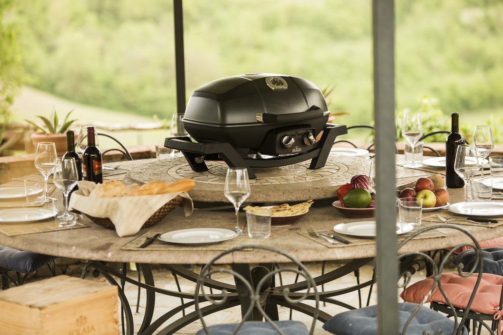 Napoleon TravelQ PRO285 Portable Natural Gas Grill Black - Flockneti