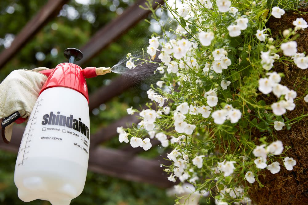 Shindaiwa Handheld Sprayer 48 Fluid Ounce 45 PSI Piston Style - Flockneti