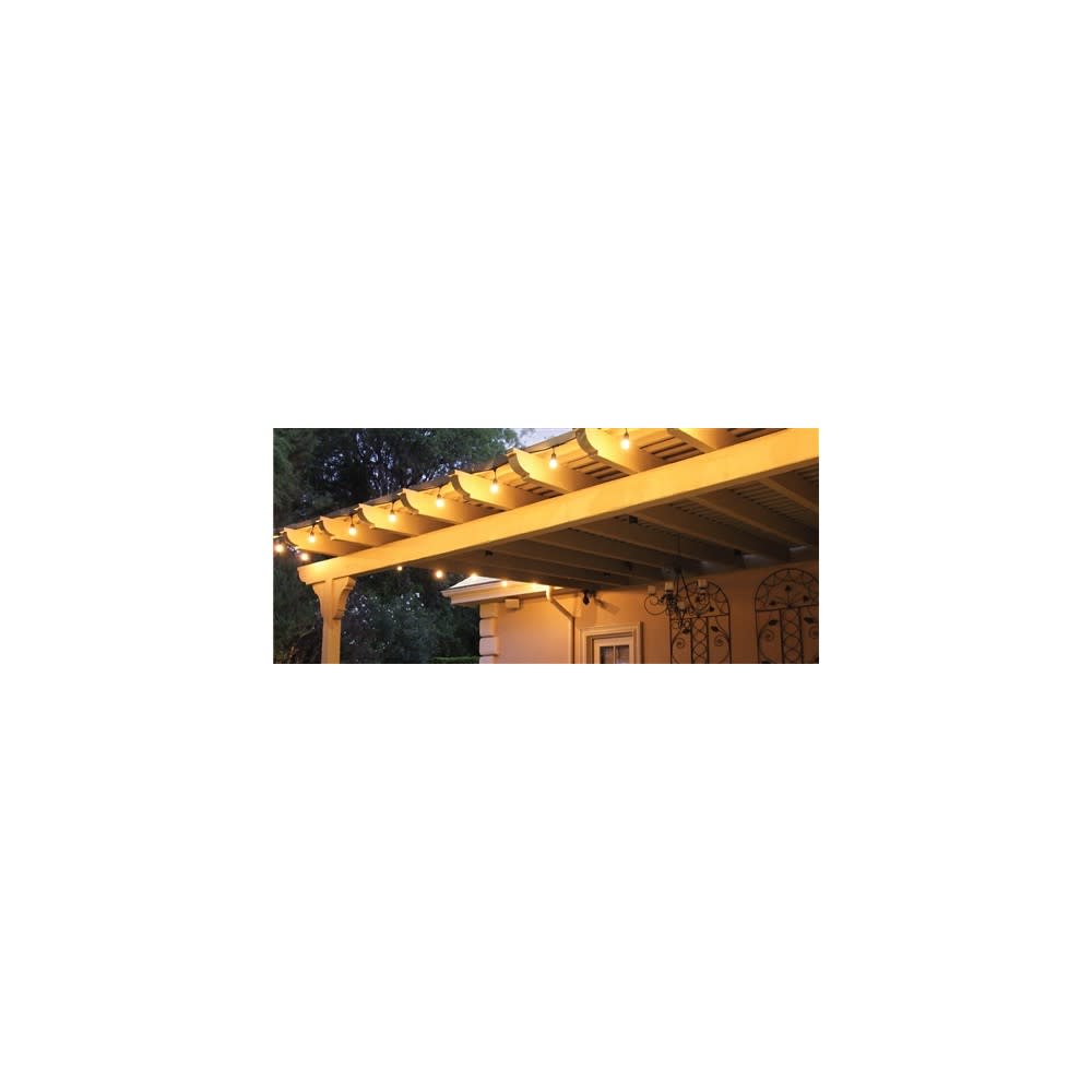 Feit Electric 130V 20′ 10 Lights Incandescent String Light Set - Flockneti