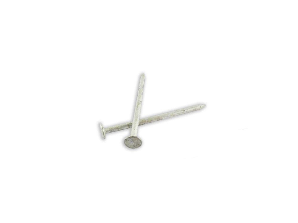 Woodpro Hot Dip Galvanized Box Nails 16d 5LB - Flockneti