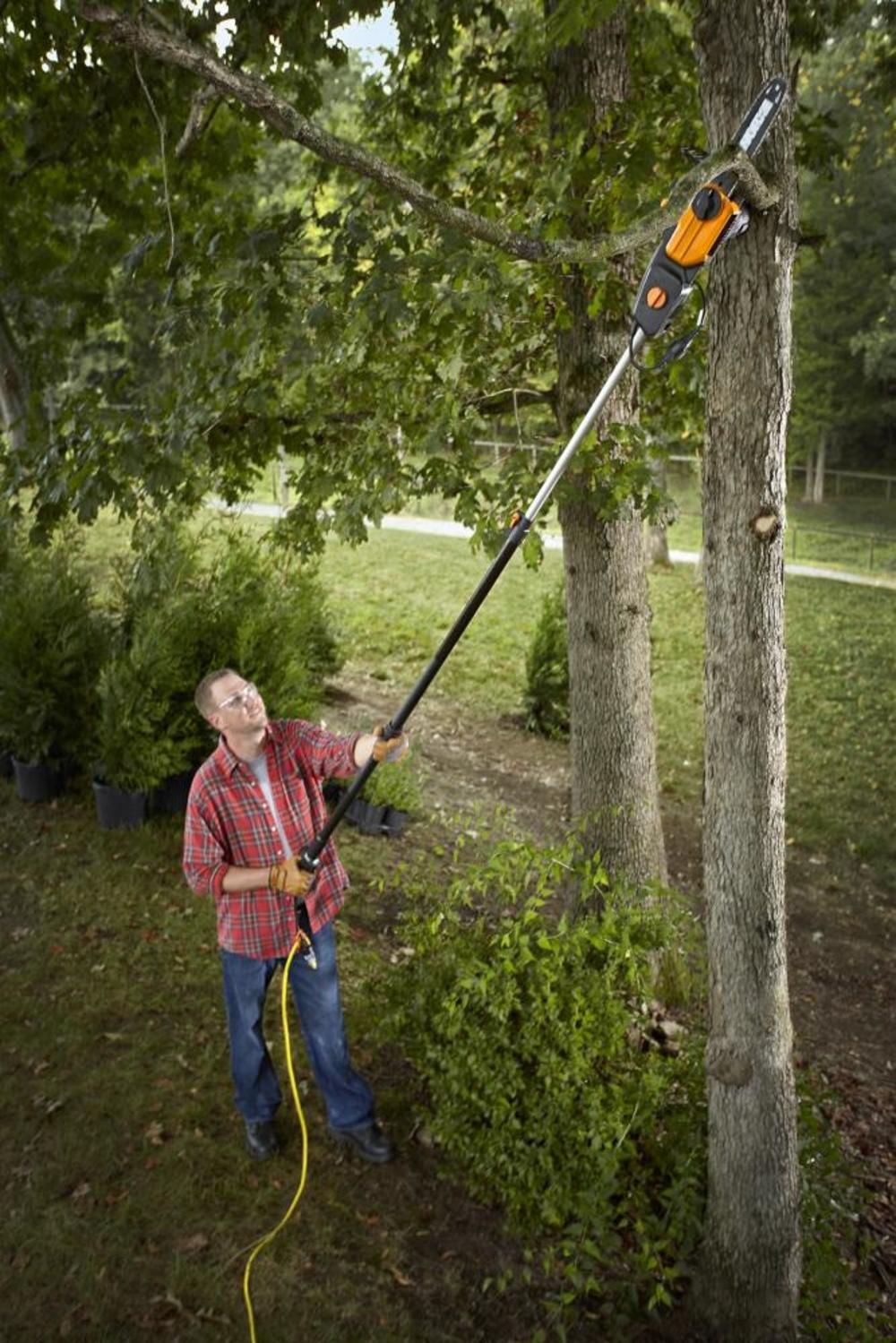 Worx WG309 8A 10″ Electric Pole Saw - Flockneti