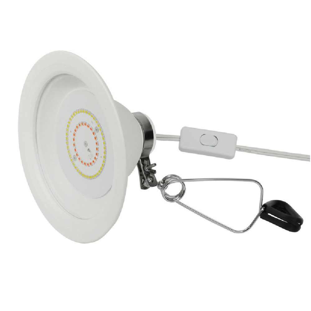 Feit Electric 8″ Full Spectrum Clamp On LED Plant Grow Light - Flockneti