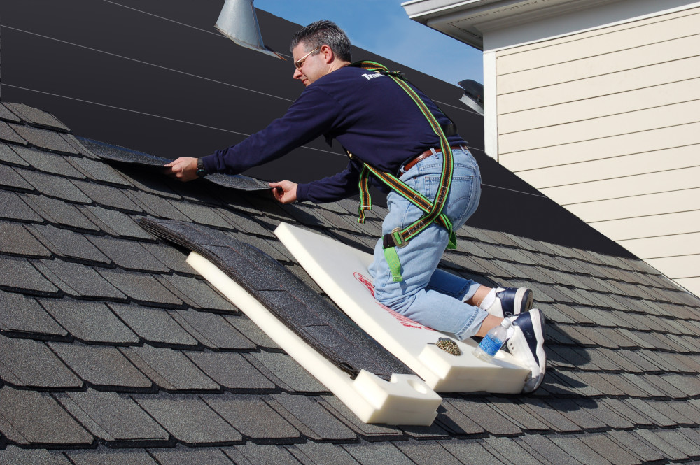 Tranzsporter Wedgie Shingles Pad 23″x34″ - Flockneti