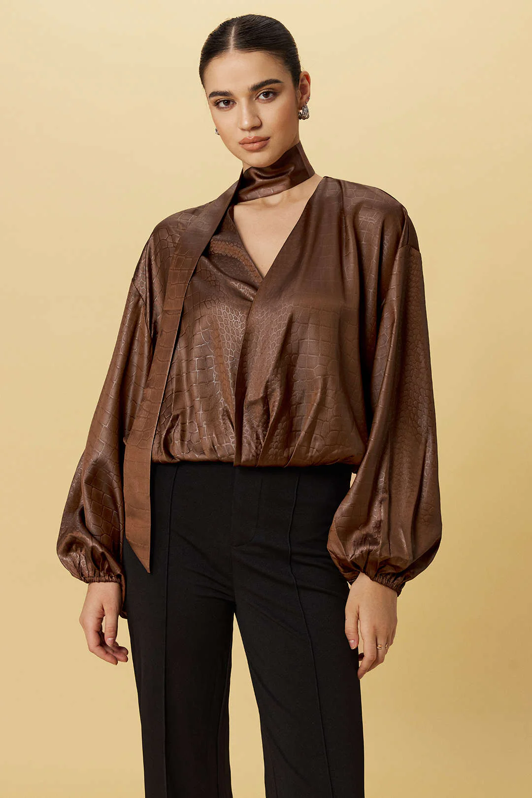 Satin Texture Ruched Long-Sleeve Top With Scarf - Flockneti