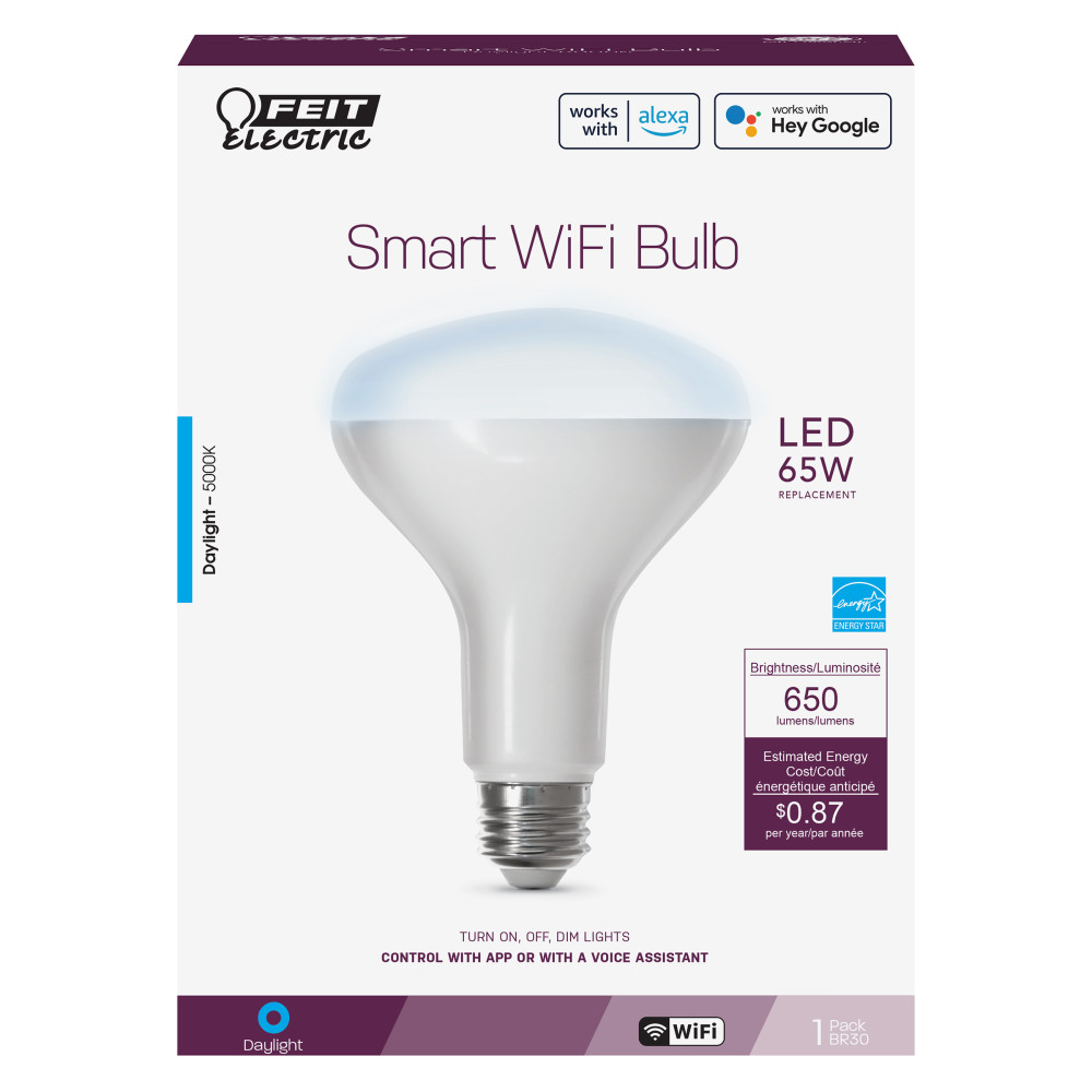 Feit Electric 65W BR30 Daylight Smart WiFi LED Bulb 1pk - Flockneti