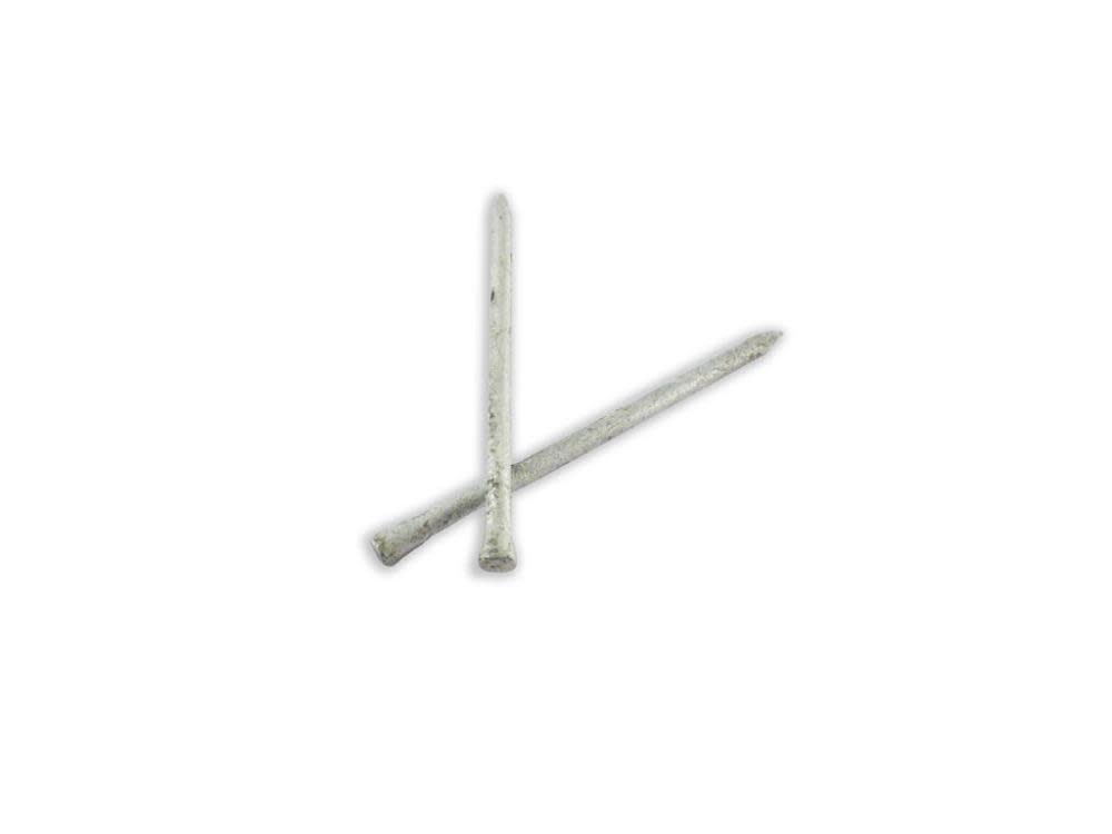B and C Eagle Hot Dip Galvanized 8d Casing Nails 1LB - Flockneti