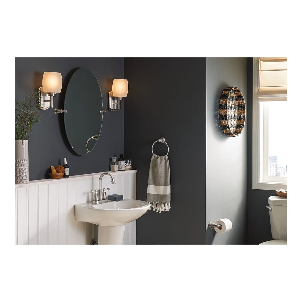 Moen Banbury Toilet Paper Holder Brushed Nickel Pivoting - Flockneti