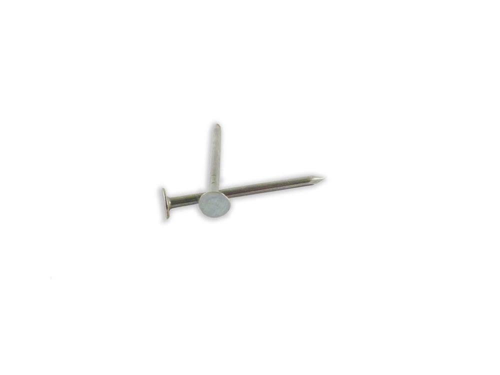 B and C Eagle WoodPro Bulk EG Roofing Nails 3 In. 5LB - Flockneti