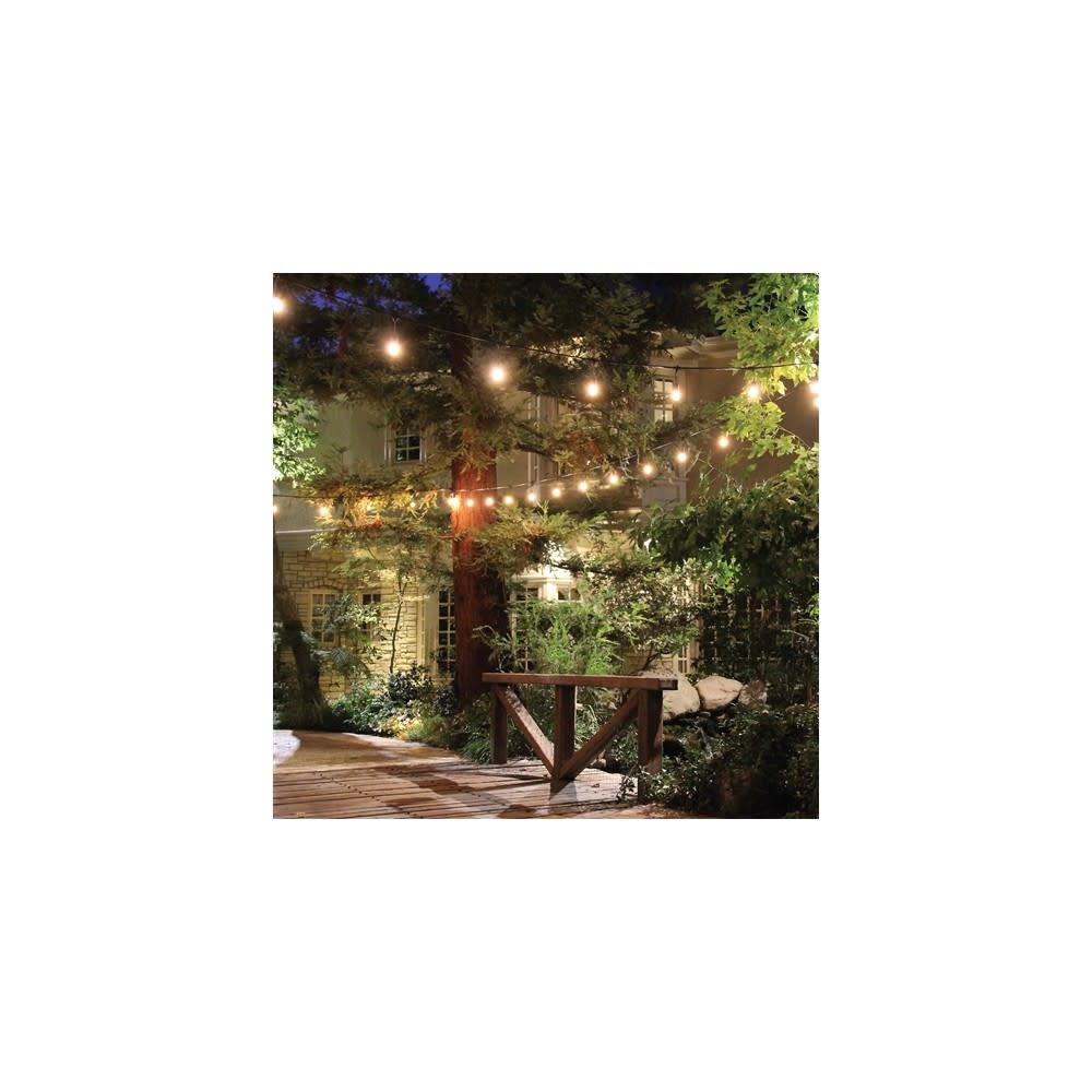 Feit Electric 130V 20′ 10 Lights Incandescent String Light Set - Flockneti
