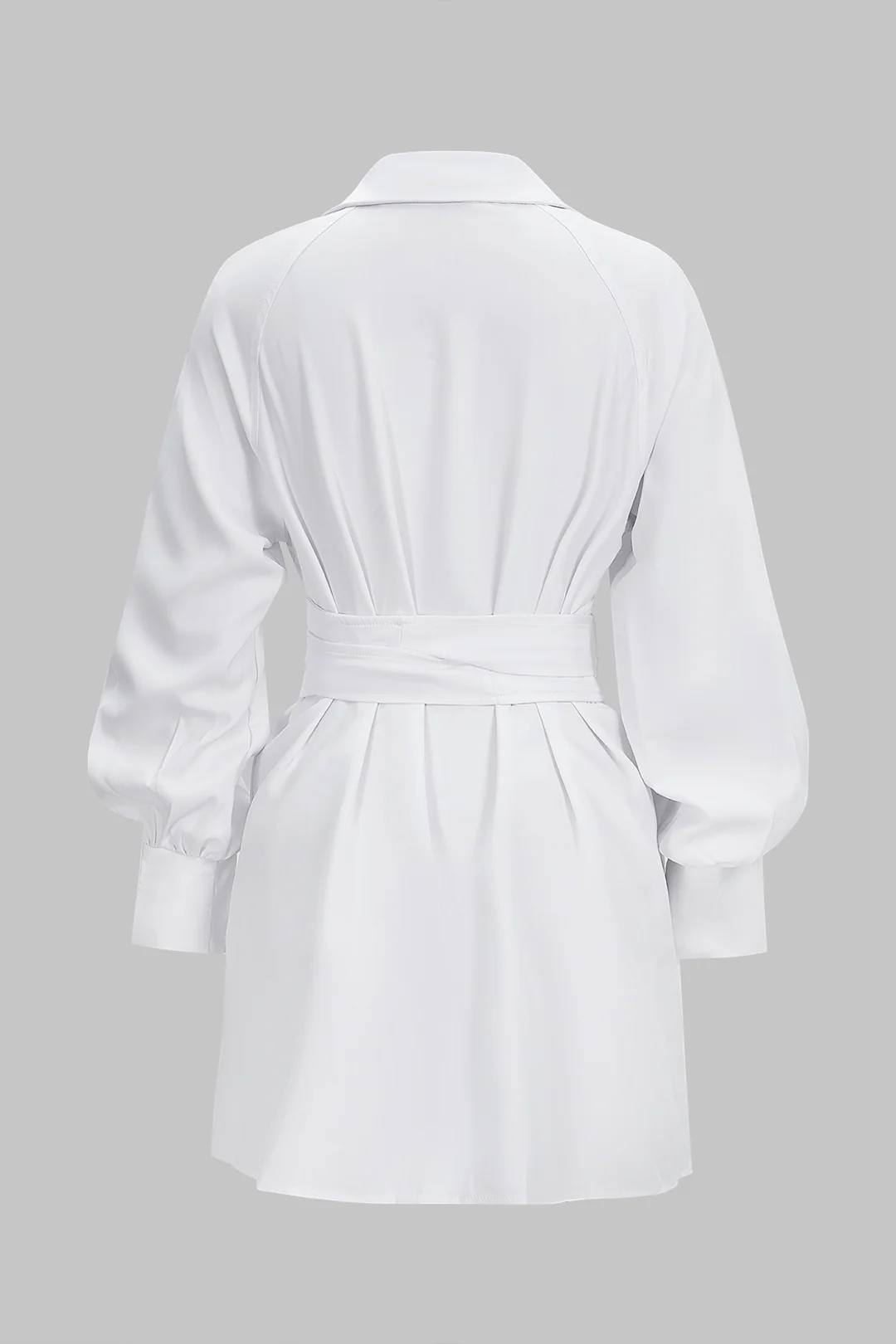Lapel Tie-Up Long Sleeve Mini Dress - Flockneti