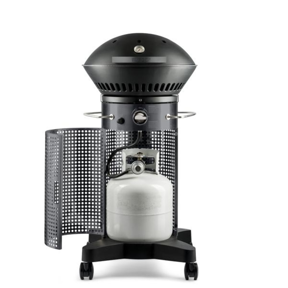 Fuego 21″ Element 2 Burner Propane Gas Grill - Flockneti
