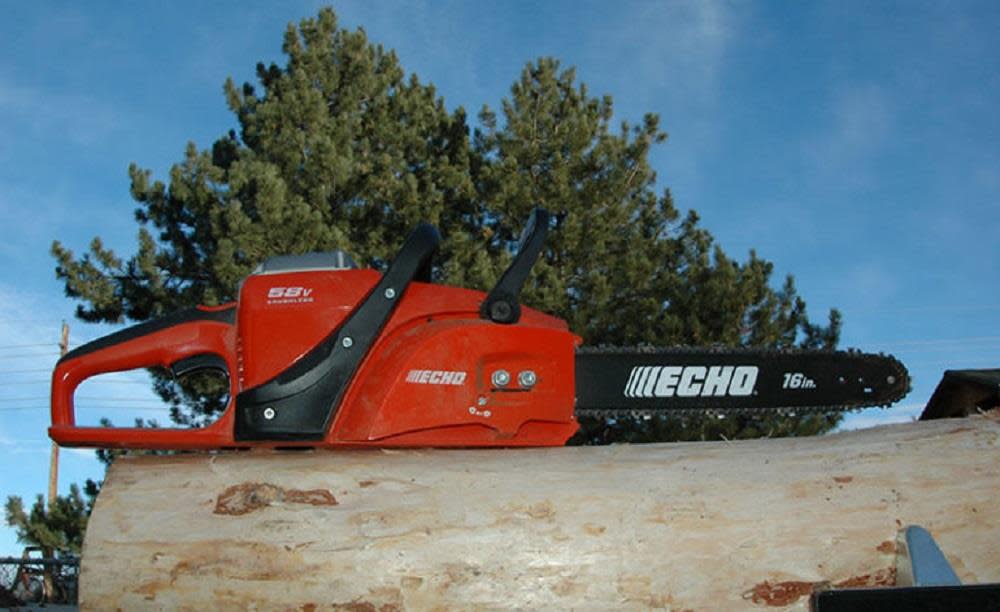 Echo 16 In Cordless Chainsaw Bare Tool - Flockneti