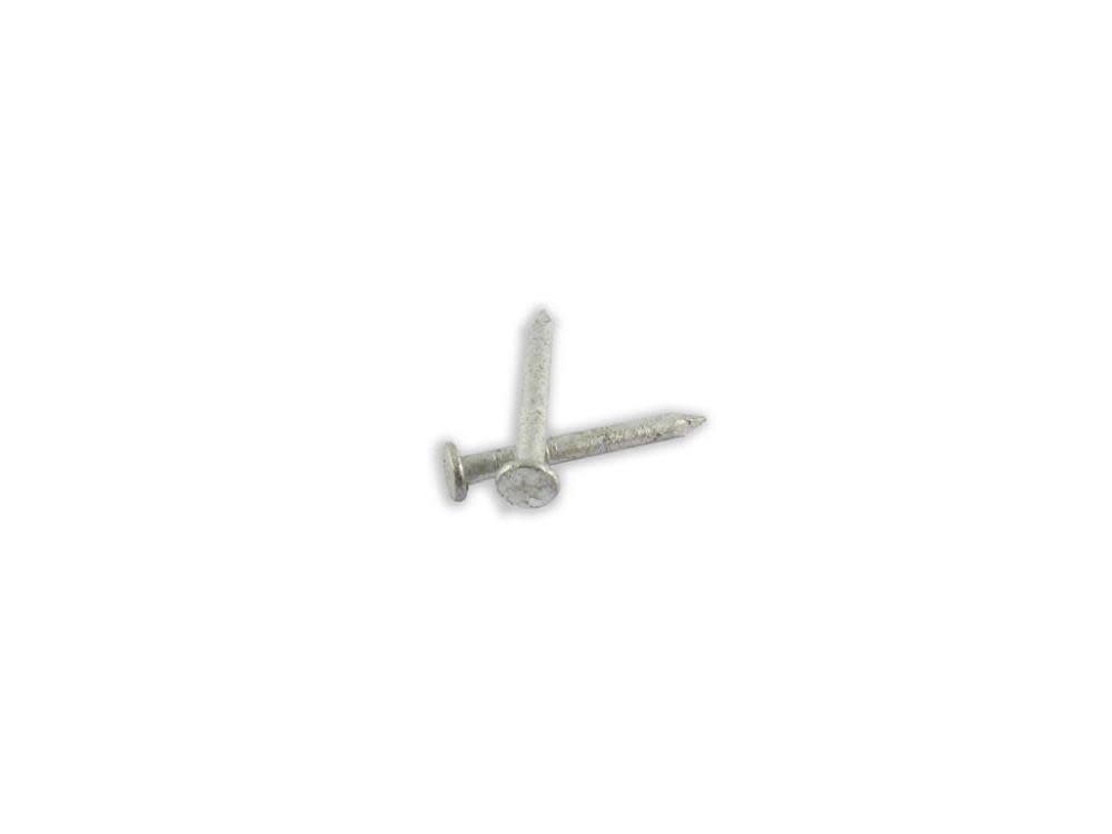 B and C Eagle WoodPro Joist Hanger Hot Dip Galvanized 1-1/2 In. 1LB - Flockneti