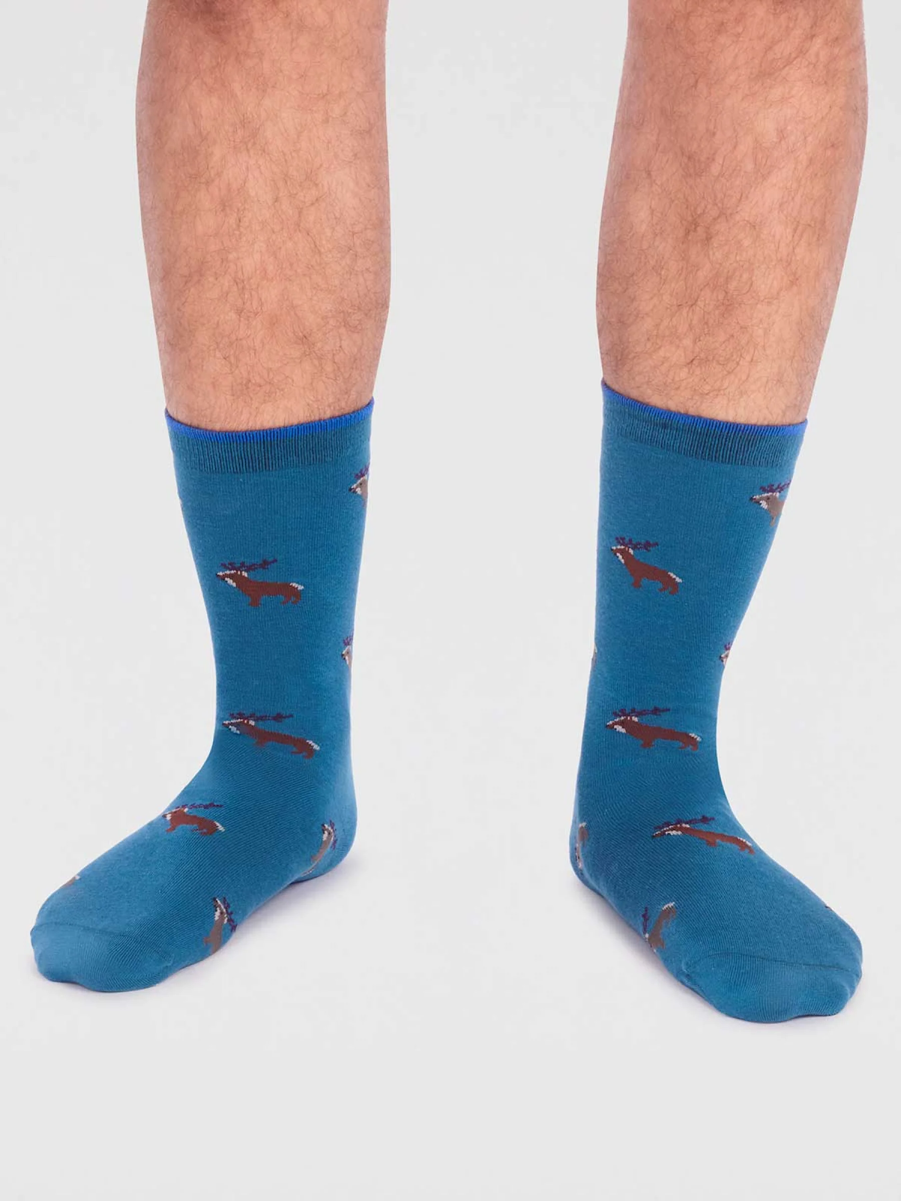 Jamal Organic Cotton Animal Socks - Teal Blue - Flockneti