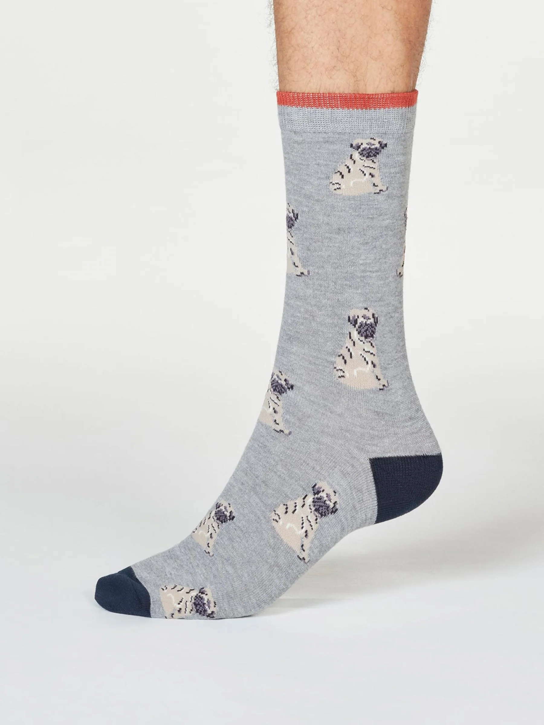 Wiley Pug Socks In A Bag - Multi - Flockneti