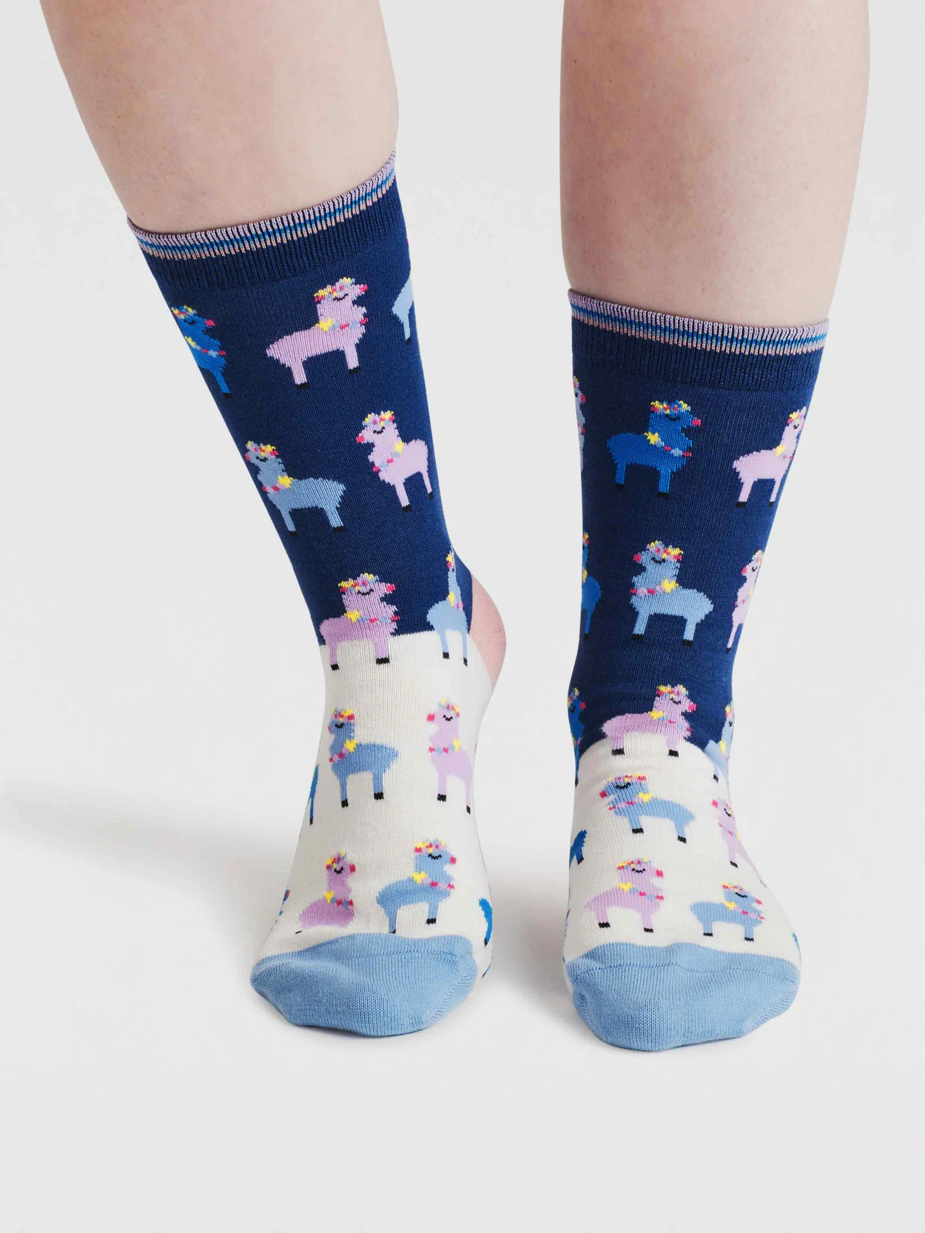 Womens Clara Rainbow Llama Organic Cotton Socks - Violet Blue - Flockneti