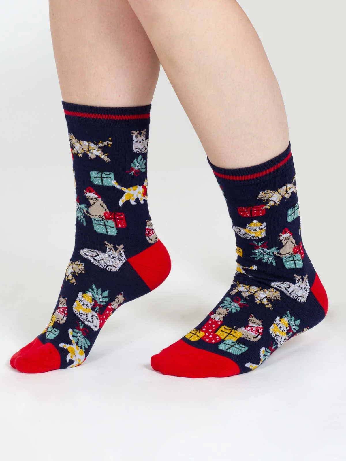 Christmas Pet Organic Cotton Sock - Navy - Flockneti