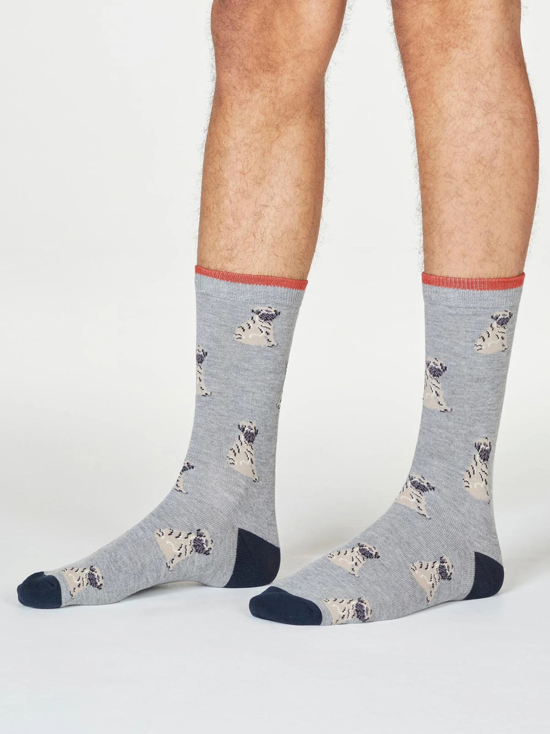 Wiley Pug Socks In A Bag - Multi - Flockneti